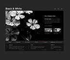 Шаблон сайта - Черно-белое фото